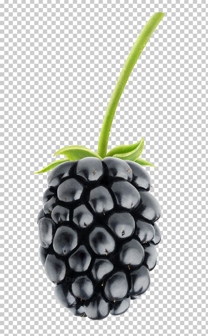 Blackberry Pie Fruit Salad PNG, Clipart, Apple, Berry, Better, Blackberry, Blackberry 10 Free PNG Download
