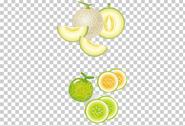 Hami Melon Cantaloupe Honeydew Kiwifruit PNG, Clipart, Apple, Apple Fruit, Auglis, Background Green, Creative Vector Free PNG Download