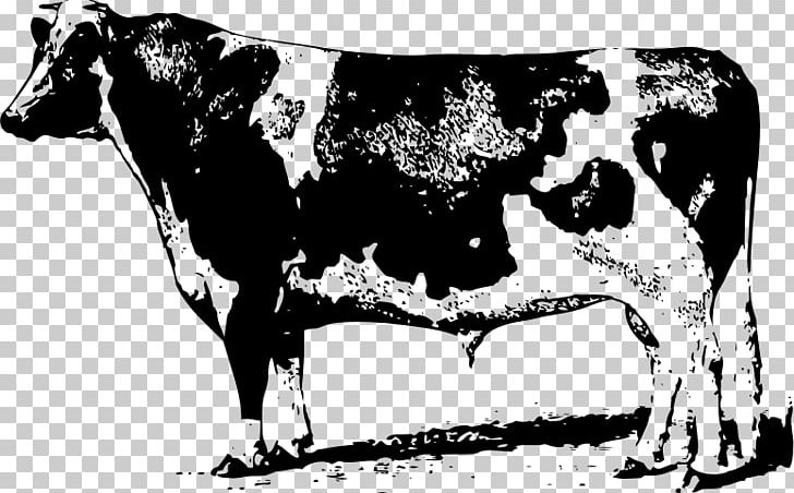 Beef Cattle Drawing Dairy Cattle PNG, Clipart, Beef Cattle, Black And White, Bull, Cattle, Cattle Like Mammal Free PNG Download