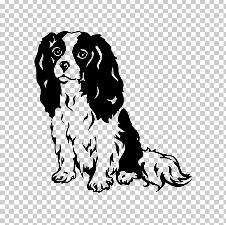 Cavalier King Charles Spaniel English Springer Spaniel Puppy Dog Breed PNG, Clipart, Animals, Bicolor Cat, Black, Black And White, Breed Free PNG Download