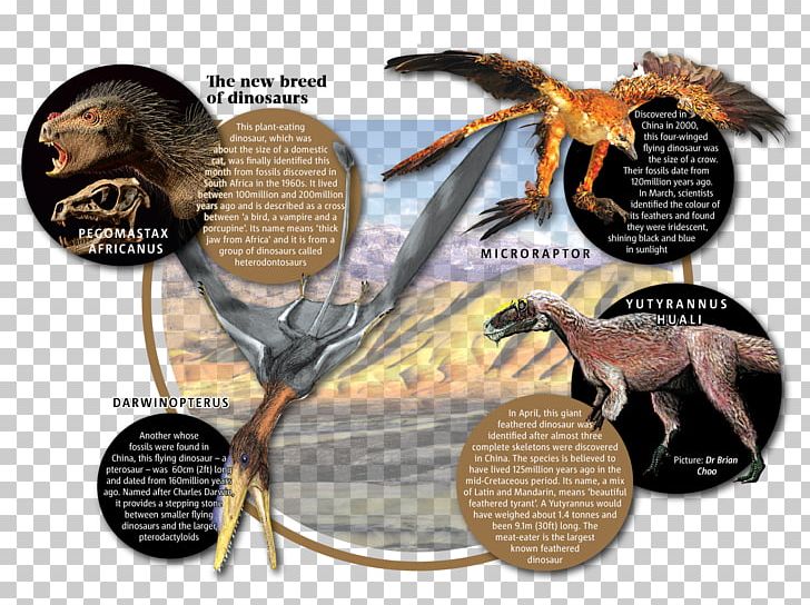 Science Comics: Dinosaurs: Fossils And Feathers Cretaceous–Paleogene Extinction Event Science Comics: Dogs: From Predator To Protector PNG, Clipart, Cat Butts, Comics, Cretaceous, Dinosaur, Fantasy Free PNG Download