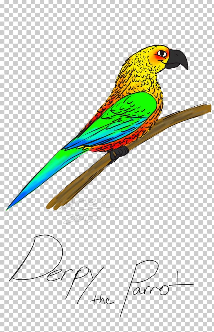 Macaw Parakeet Feather Beak PNG, Clipart, Animals, Beak, Bird, Common Pet Parakeet, Fauna Free PNG Download