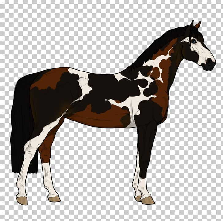 Mustang Foal Stallion Colt Mare PNG, Clipart, Bridle, Colt, Foal, Golden Shoe, Halter Free PNG Download