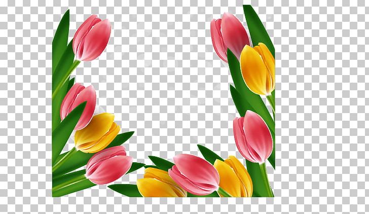 Tulip Flower PNG, Clipart, Cut Flowers, Encapsulated Postscript, Flower, Flower Arranging, Flowers Free PNG Download