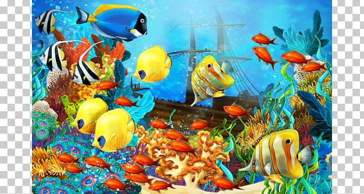 Underwater Coral Reef Fish Tropical Fish PNG, Clipart, Animals, Aquarium, Aquarium Decor, Computer Wallpaper, Coral Free PNG Download