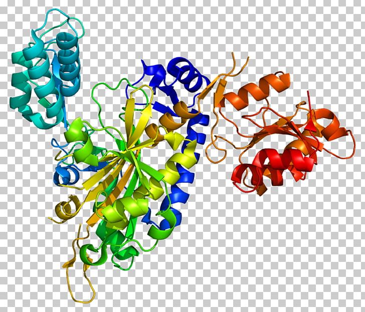 Aminoacyl TRNA Synthetase Transfer RNA Glycine—tRNA Ligase Gene PNG, Clipart, Amino Acid, Aminoacyltrna, Aminoacyl Trna Synthetase, Anticodon, Artwork Free PNG Download
