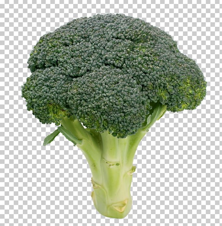Broccoli Cauliflower Kale Vegetable Variety PNG, Clipart, Brassica Oleracea, Broccoli, Broccoli 0 0 3, Broccoli Art, Broccoli Dog Free PNG Download