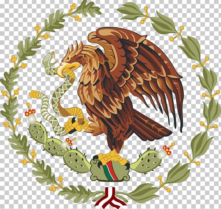 Coat Of Arms Of Mexico Flag Of Mexico National Emblem PNG, Clipart, Bald Eagle, Beak, Bird, Bird Of Prey, Coat Of Arms Free PNG Download