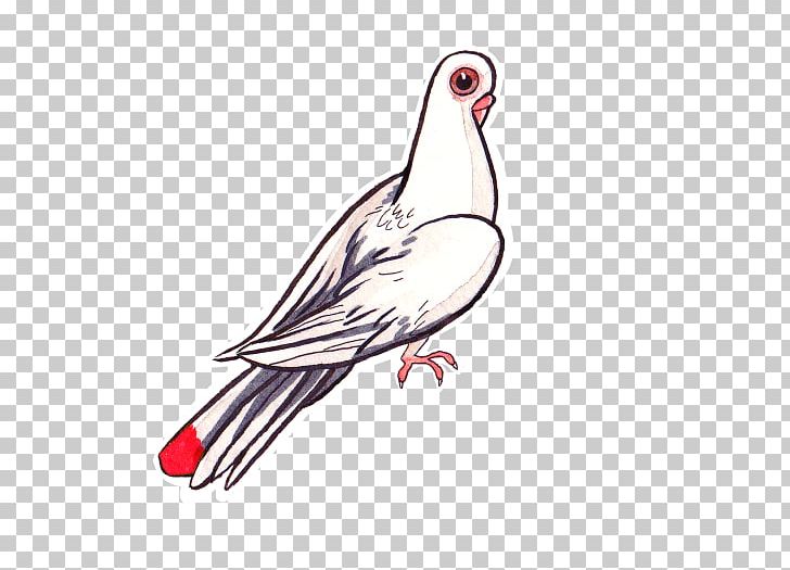 Goose Cygnini Water Bird Duck /m/02csf PNG, Clipart, Art, Beak, Bird, Chicken, Chicken As Food Free PNG Download