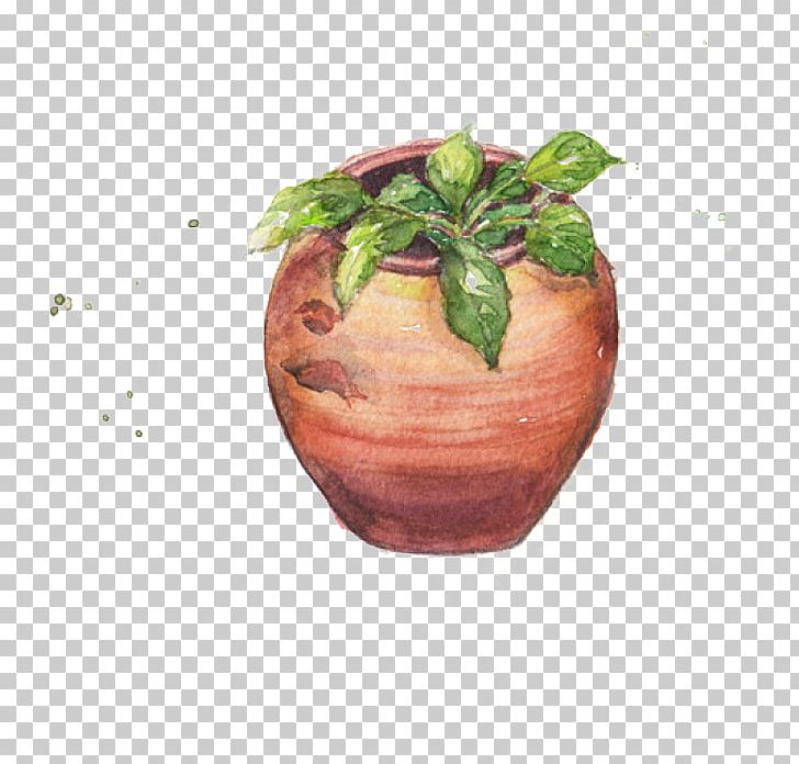 Jar Plant Euclidean PNG, Clipart, Apple, Bottle, Cans, Decoration, Encapsulated Postscript Free PNG Download