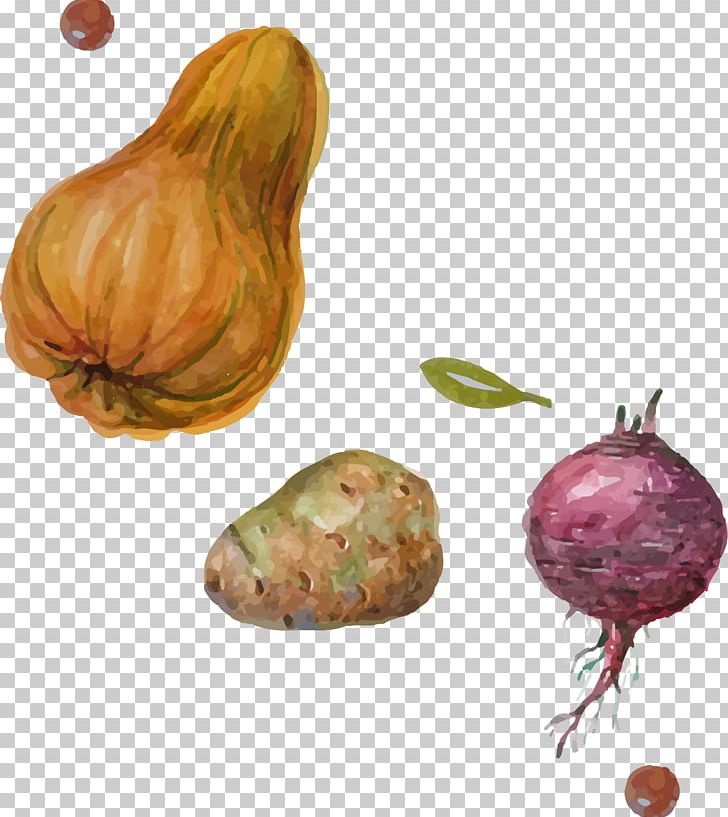 Shallot Pumpkin Vegetable PNG, Clipart, Design Element, Download, Element, Elements, Elements Vector Free PNG Download