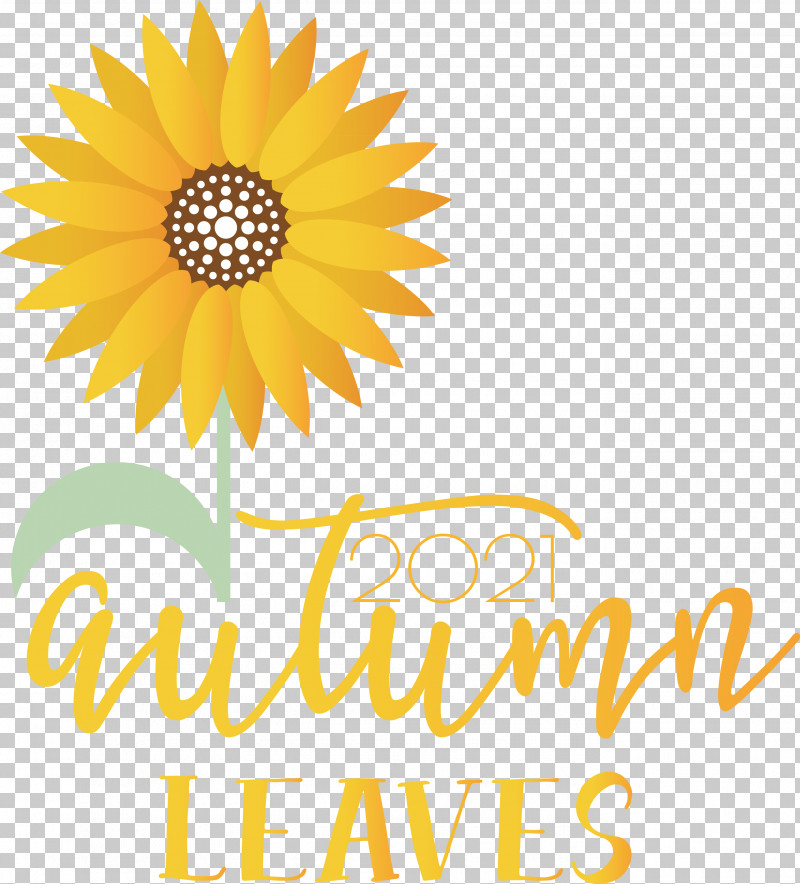 Autumn Leaves Autumn Fall PNG, Clipart, Autumn, Autumn Leaves, Cut Flowers, Daisy Family, Fall Free PNG Download