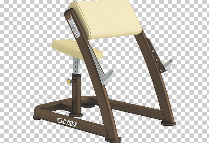 Bench Cybex International Exercise Equipment Weight Training Biceps Curl PNG, Clipart, Angle, Barbell, Bench, Bench Press, Biceps Curl Free PNG Download