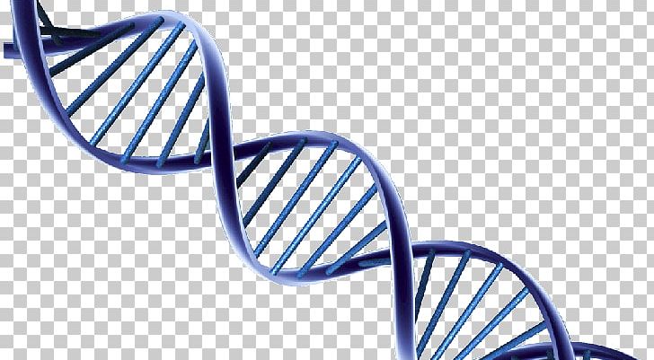 DNA PNG, Clipart, Dna Free PNG Download