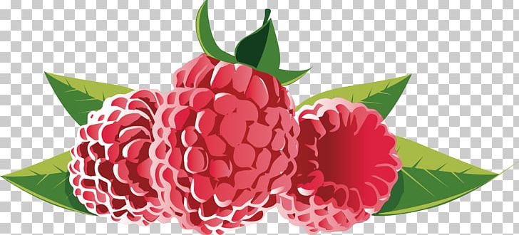 Strawberry European Blueberry Fruit PNG, Clipart, Biscuits, Cherry, Christmas Decoration, Cranberry Juice, Decorative Free PNG Download