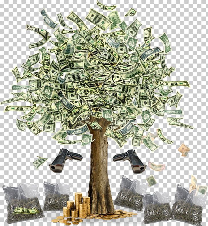 Money Finance Tree Bank Currency PNG, Clipart, Bank, Banknote, Business Loan, Cash, Currency Free PNG Download