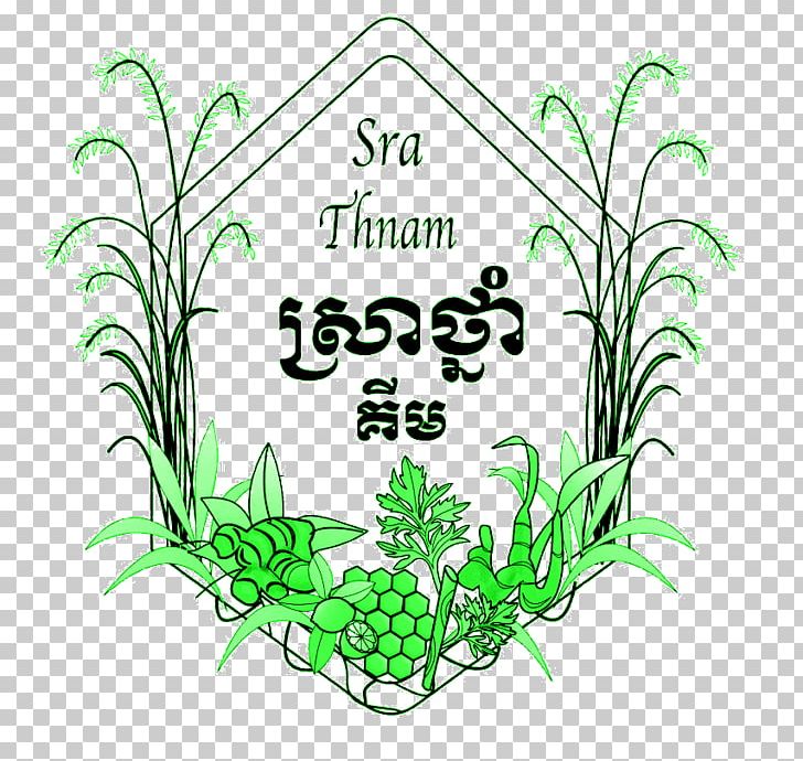 Sra Thnam House Grasses Medicinal Plants Plant Stem PNG, Clipart, Artwork, Flora, Flower, Flowering Plant, Food Free PNG Download