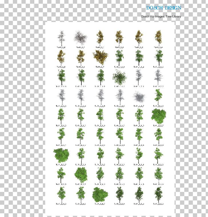 Tree Leaf Plant Stem PNG, Clipart, Architectural Rendering, Employment, Flower, Flowering Plant, Grass Free PNG Download