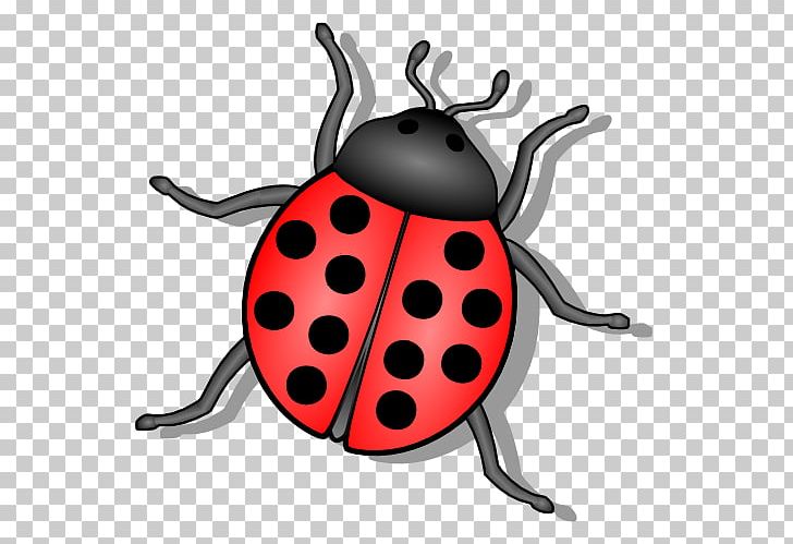 Ladybird Beetle The Ladybug PNG, Clipart, Animals, Arthropod, Beetle, Clip,  Drawing Free PNG Download