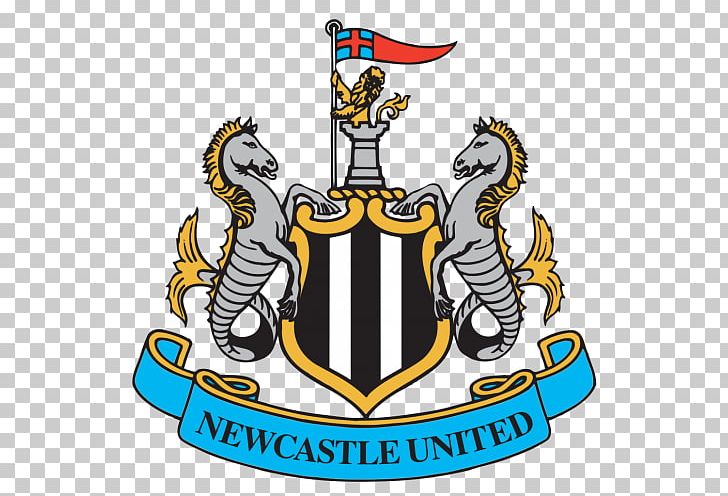 Newcastle United F.C. St James' Park Newcastle East End F.C. 2012–13 Premier League FA Cup PNG, Clipart,  Free PNG Download