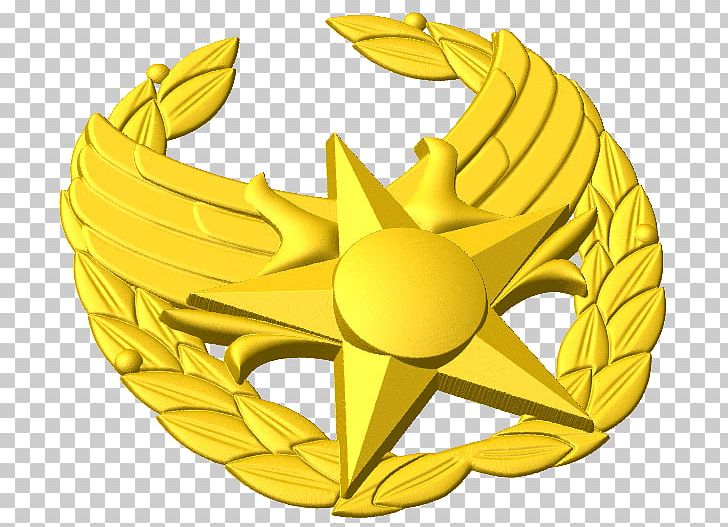 Badge Air Battle Manager Emblem United States Air Force Academy PNG, Clipart, Air Battle Manager, Air Force, Badge, Cdr, Commander Free PNG Download