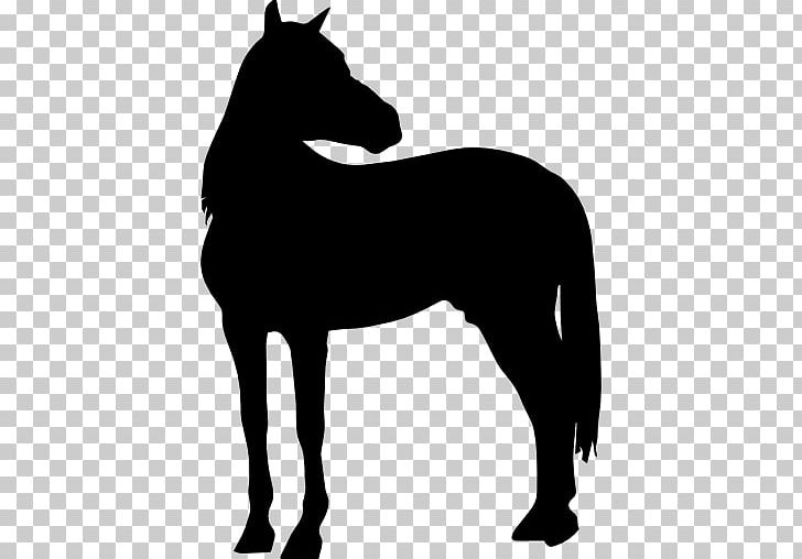 Computer Icons Horse PNG, Clipart, Animals, Black, Bridle, Child, Coloring Book Free PNG Download