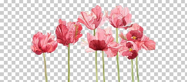 Watercolor Painting Tulip Watercolor: Flowers Art PNG, Clipart, Art, Artificial Flower, Color, Cut Flowers, Drawing Free PNG Download