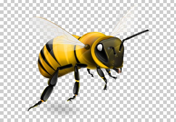 Western Honey Bee Insect Bumblebee PNG, Clipart, Africanized Bee, Ari, Arthropod, Bee, Bee Cartoon Free PNG Download