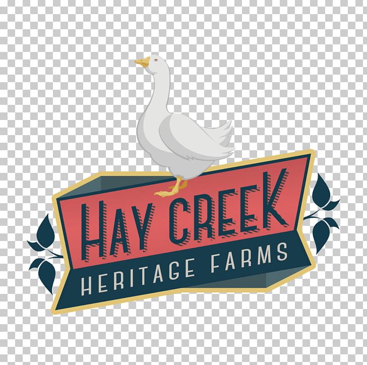 Cotton Patch Goose Hay Creek Heritage Farms Chicken Cayuga Duck PNG, Clipart, Advertising, Animals, Beak, Brand, Breed Free PNG Download