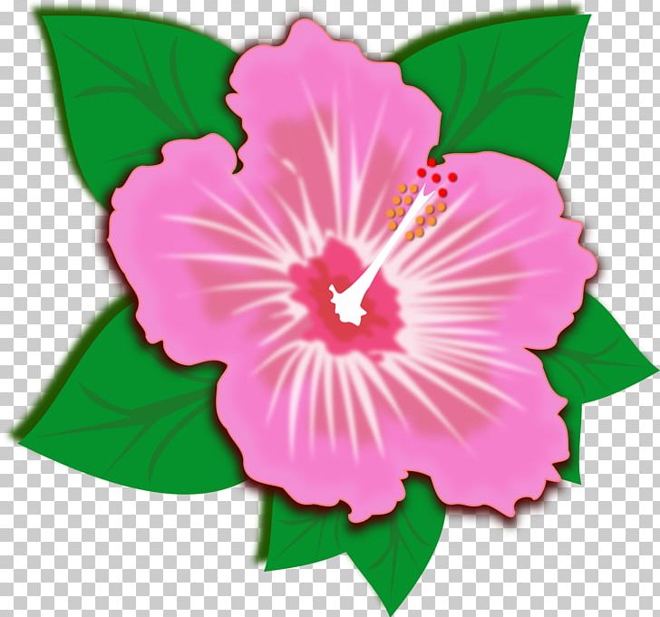 Flower Public Domain PNG, Clipart, Annual Plant, Art, Desktop Wallpaper, Download, Drawing Free PNG Download