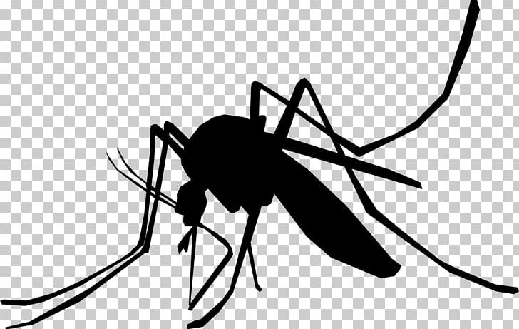 Mosquito Control Household Insect Repellents Yellow Fever Mosquito PNG, Clipart, Animals, Black And White, Branch, Fly, Household Insect Repellents Free PNG Download