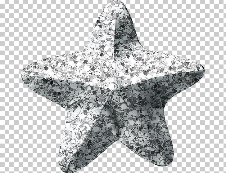 Starfish PNG, Clipart, Animals, Marine Invertebrates, Snowflake Border, Starfish Free PNG Download