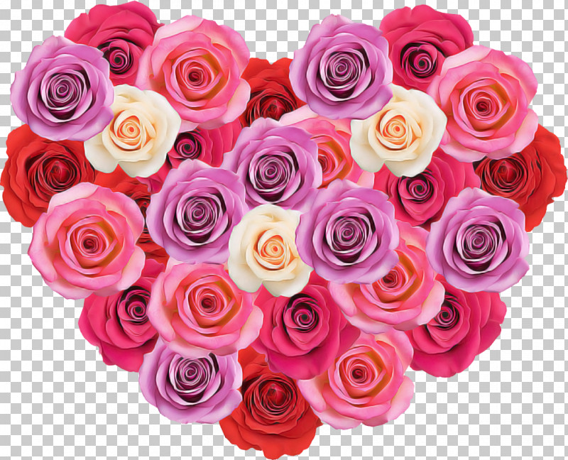 Garden Roses PNG, Clipart, Artificial Flower, Cabbage Rose, Cut Flowers, Floral Design, Floribunda Free PNG Download