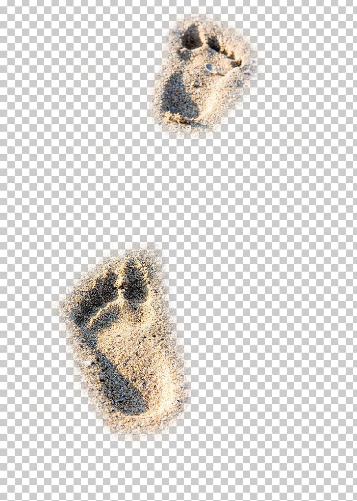 Beach Sand Footprint PNG, Clipart, Adobe Illustrator, Animal Track, Beach, Beaches, Beach Footprints Free PNG Download