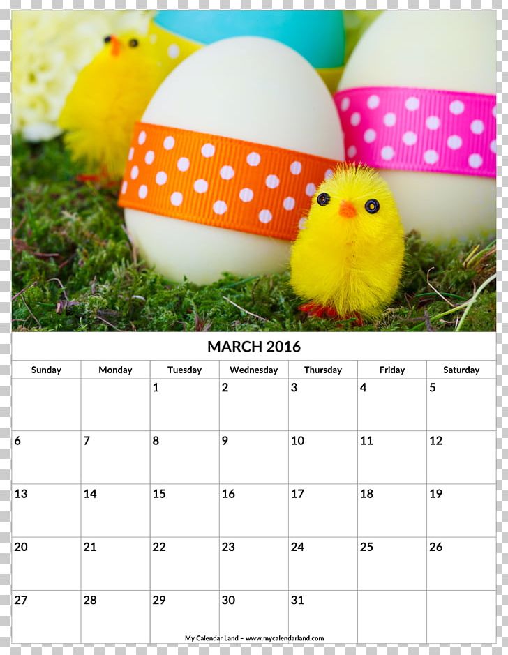 Easter Bunny Chicken Easter Egg Child PNG, Clipart, Animals, Beak, Calendar, Chicken, Child Free PNG Download