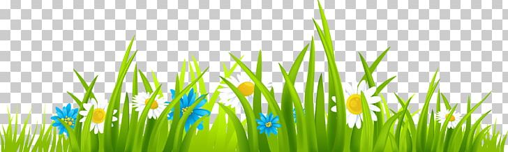 Free Content Website PNG, Clipart, Animated, Animated Grass Cliparts, Animation, Cartoon, Clip Art Free PNG Download