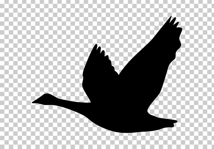 Goose Bird Duck Silhouette Ganso PNG, Clipart, Animals, Beak, Bird, Bird Silhouette, Black And White Free PNG Download