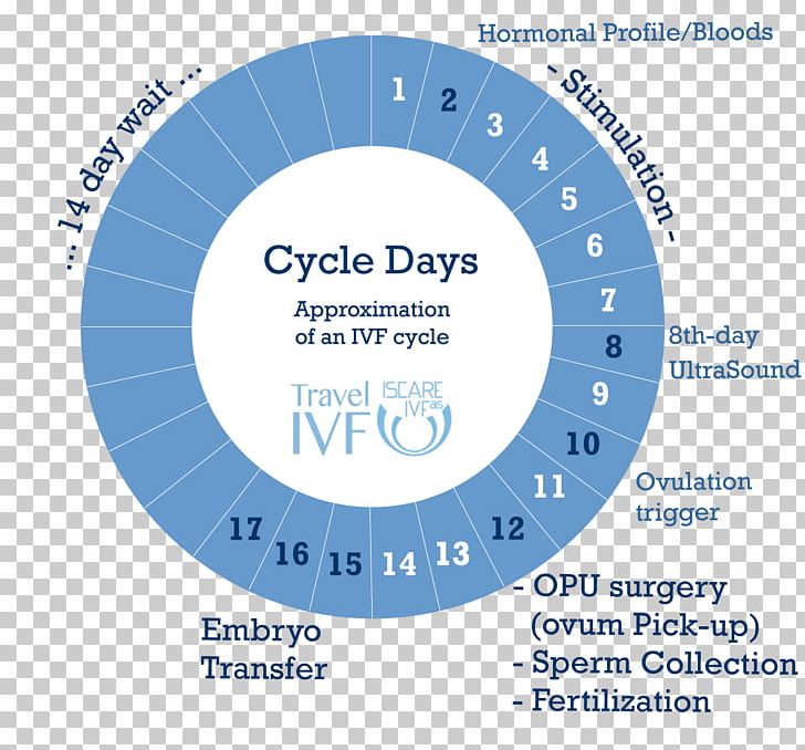 In Vitro Fertilisation Egg Donation Embryo Transfer Menstrual Cycle Ovary PNG, Clipart, Area, Brand, Circle, Cycle, Diagram Free PNG Download
