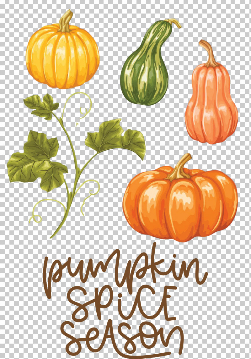 Autumn Pumpkin Spice Season Pumpkin PNG, Clipart, Autumn, Drawing, Poster, Pumpkin, Pumpkin Leaves Free PNG Download