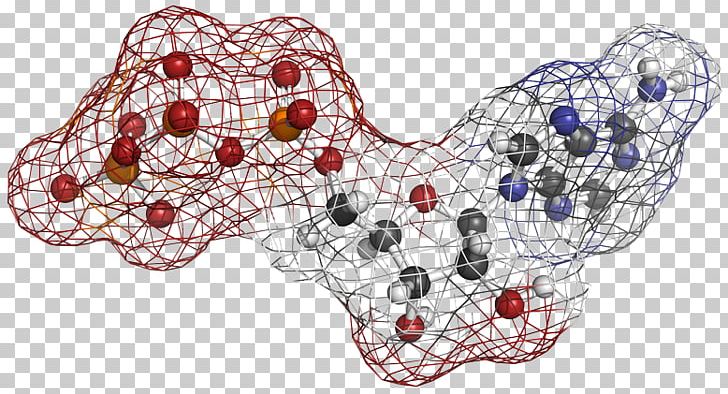 Adenosine Triphosphate Cellular Respiration Chemical Energy Molecule PNG, Clipart, Adenosine, Adenosine Triphosphate, Adenylyl Cyclase, Biology, Cellular Respiration Free PNG Download