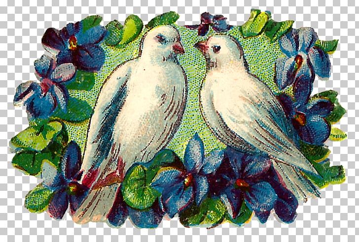 Bird Open Romance PNG, Clipart, Animals, Art, Beak, Bird, Common Pet Parakeet Free PNG Download