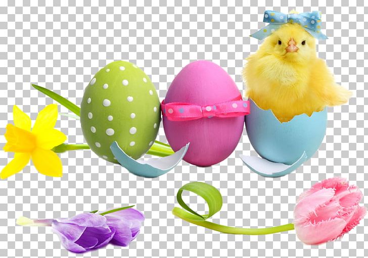 Easter Egg Easter Cake Egg Decorating Tulip PNG, Clipart, Computer, Daffodil, Desktop Wallpaper, Easter, Easter Cake Free PNG Download