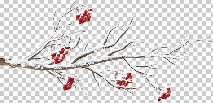 Branch Tree Desktop PNG, Clipart, Area, Art, Artwork, Black And White, Branch Free PNG Download