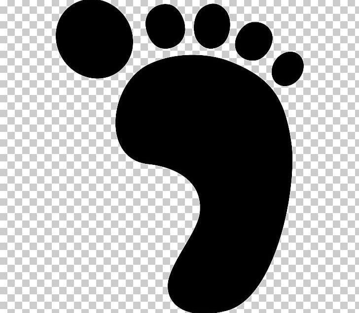 Dinosaur Footprints Reservation PNG, Clipart, Baby Blue, Black, Black And White, Circle, Dinosaur Footprints Reservation Free PNG Download