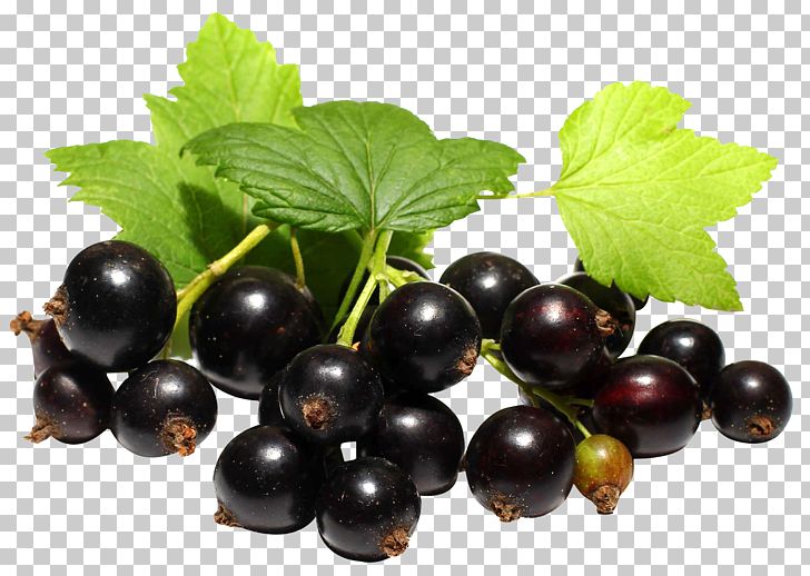 Juice Blackcurrant Mojito Frutti Di Bosco Cocktail PNG, Clipart, Avon Products, Berries, Berry, Bilberry, Blueberry Free PNG Download