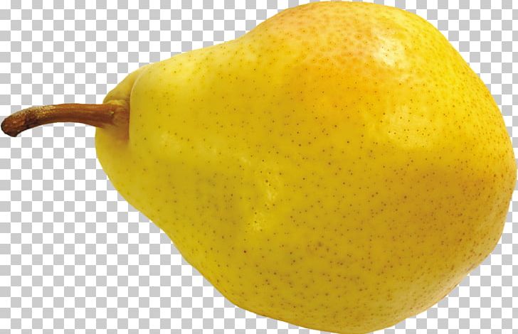 Pear Rosaceae Desktop PNG, Clipart, Armut, Armut Resimleri, Citric Acid, Citron, Citrus Free PNG Download