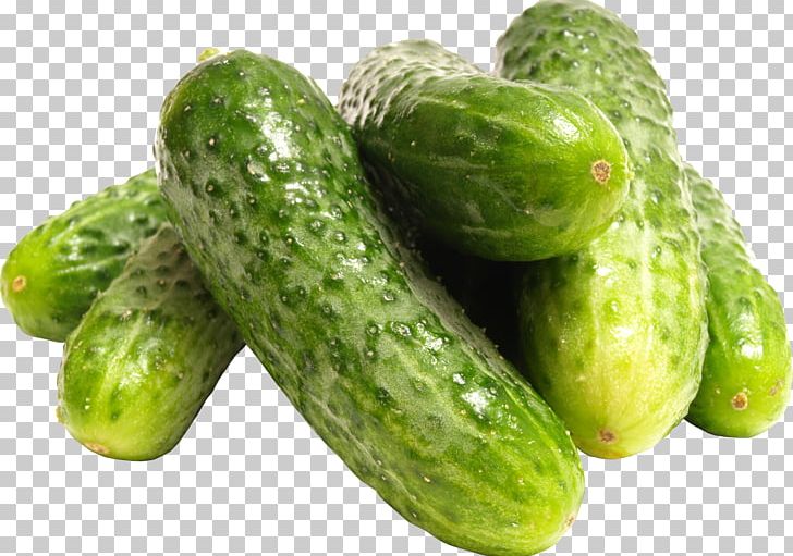 Cucumber PNG, Clipart, Cucumber Free PNG Download