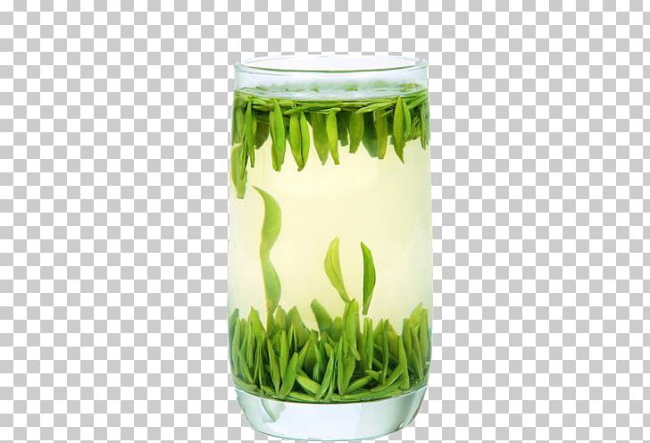 Green Tea Jintan District Meitan Cuiya Longjing Tea PNG, Clipart, Background Green, Commodity, Flowerpot, Food Drinks, Grass Free PNG Download