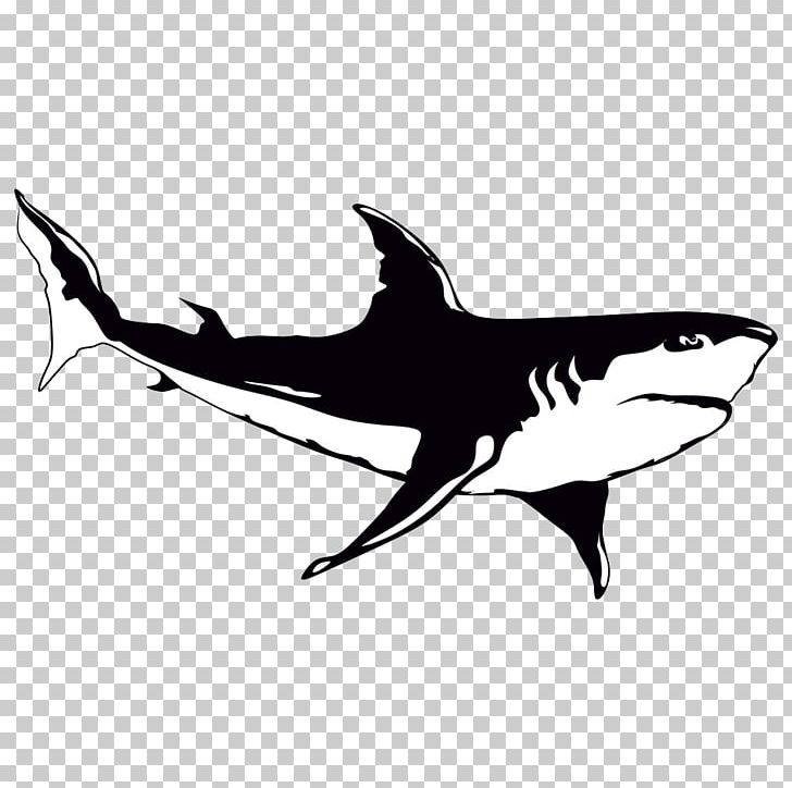 Shark Cartoon Illustration PNG, Clipart, Animal, Animals, Art, Big Shark, Black Free PNG Download