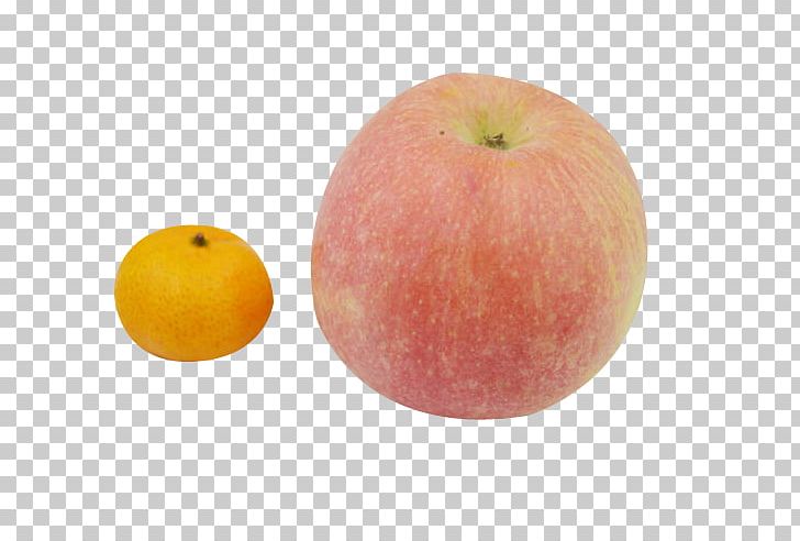 Apples And Oranges Apples And Oranges Fruit PNG, Clipart, Apple Fruit, Apple Logo, Apples, Apples And Oranges, Citrus Fruit Free PNG Download